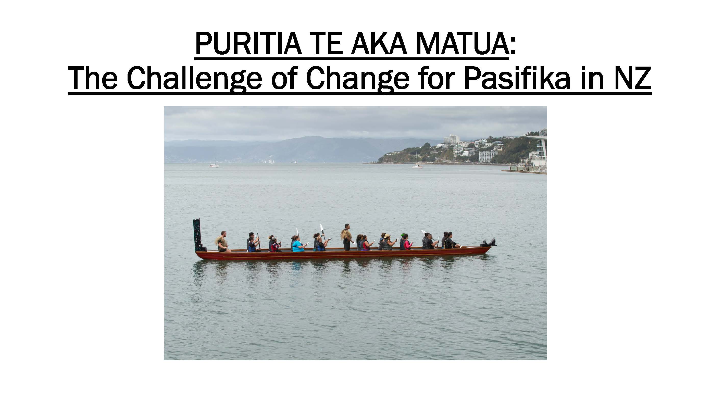 Digital Navigators ACE Presentation 2017