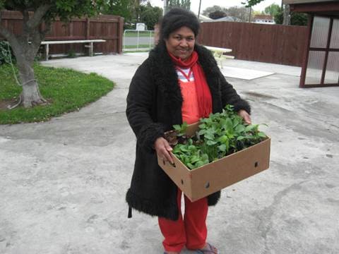 Vege-cation Mrs Kula