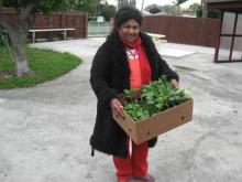 Vege-cation Mrs Kula